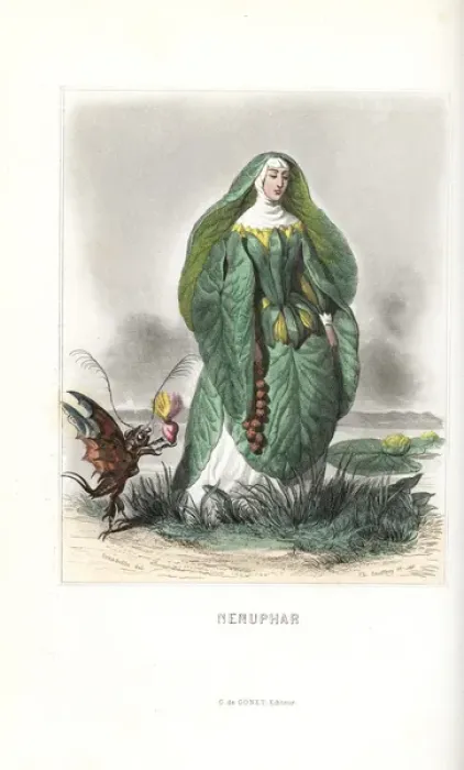 Framed Print : Waterlily flower fairy in nuns habit Framed Print : Waterlily flower fairy in nuns habit