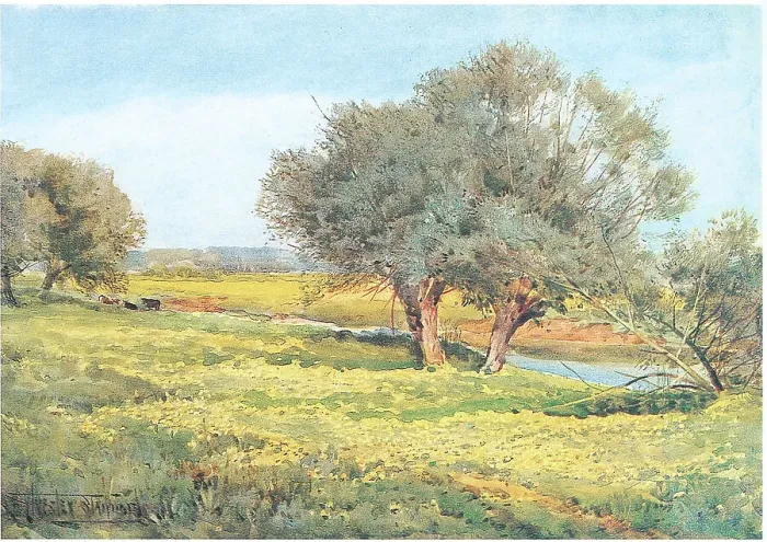 Framed Print : The watermeadows Framed Print : The watermeadows