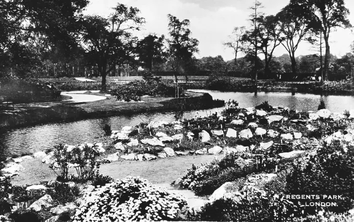Framed Print : Waterside scene, Regents Park, London Framed Print : Waterside scene, Regents Park, London