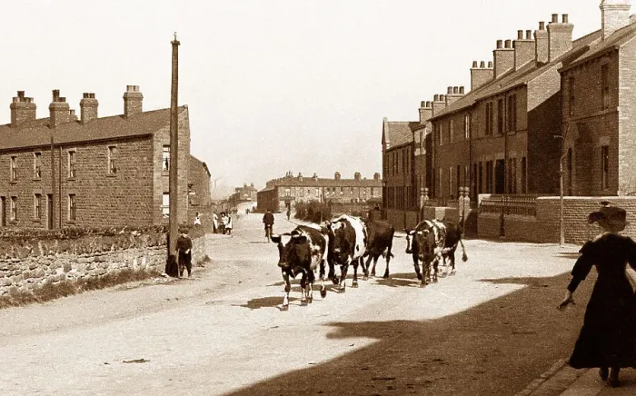 Framed Print : Wath Road, Wombwell