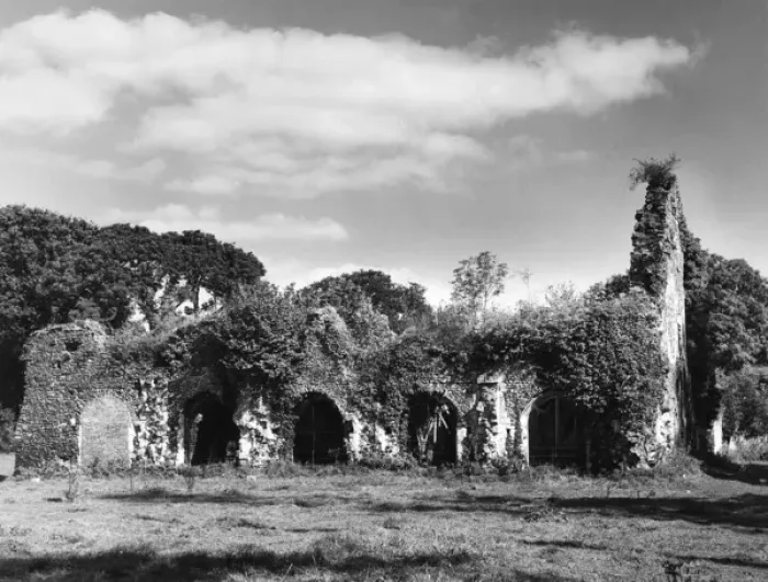 Framed Print : Waverley Abbey Framed Print : Waverley Abbey