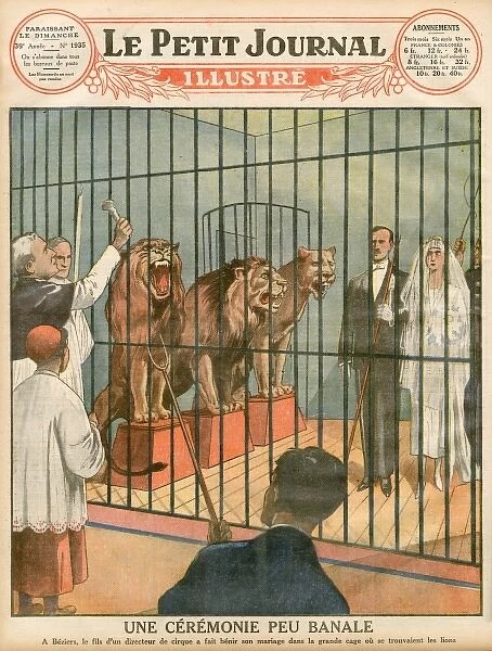 Wed in Lions Cage
