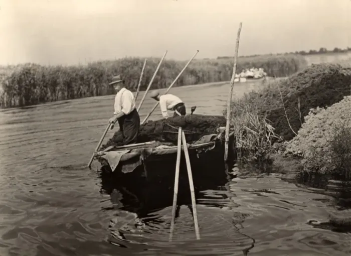 Framed Print : Weeding on the Norfolk Broads Framed Print : Weeding on the Norfolk Broads