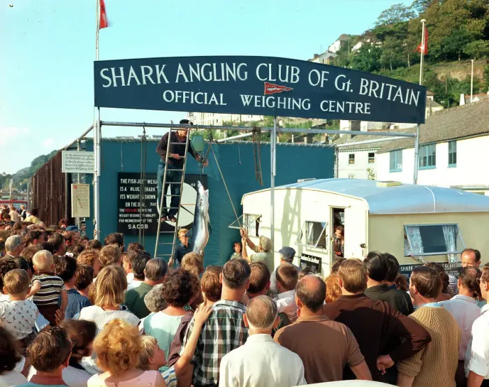 Framed Print : Weighing the catch - Shark Angling Club of Gt. Britain, Looe
