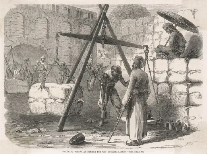 Framed Print : Weighing cotton, India Framed Print : Weighing cotton, India