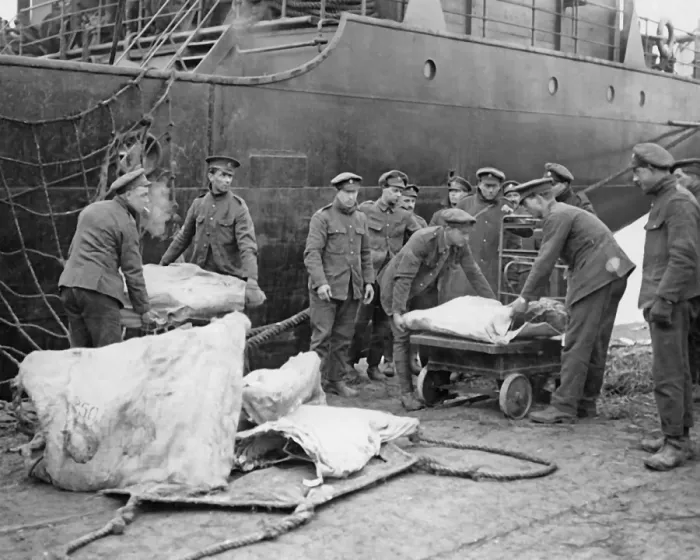 Framed Print : Weighing meat destined for Western Front, WW1 Framed Print : Weighing meat destined for Western Front, WW1