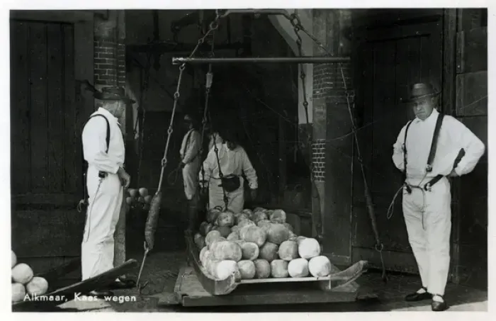 Framed Print : Weighing round Edam cheeses at Alkmaar - The Netherlands Framed Print : Weighing round Edam cheeses at Alkmaar - The Netherlands