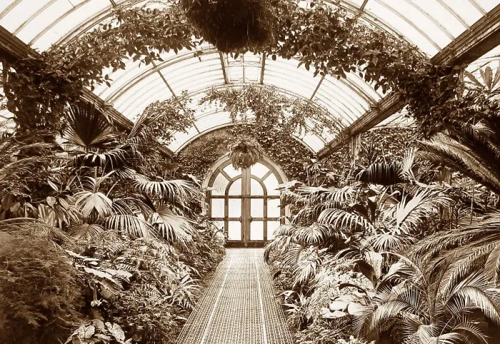 Framed Print : Welbeck Abbey Palm House Framed Print : Welbeck Abbey Palm House