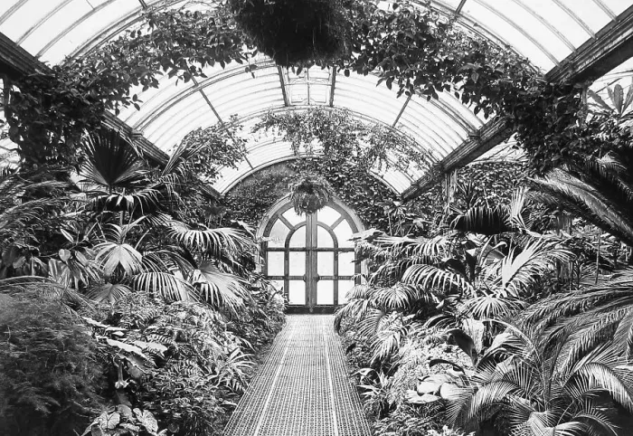 Framed Print : Welbeck Abbey The Palm House Victorian period Framed Print : Welbeck Abbey The Palm House Victorian period