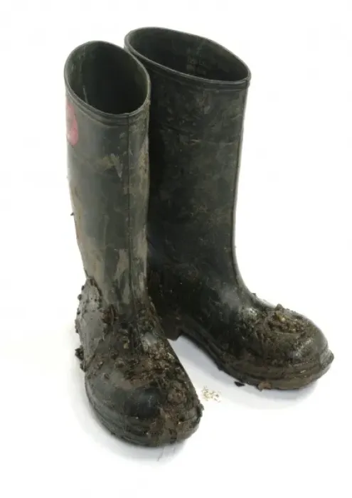Framed Print : Wellington boots