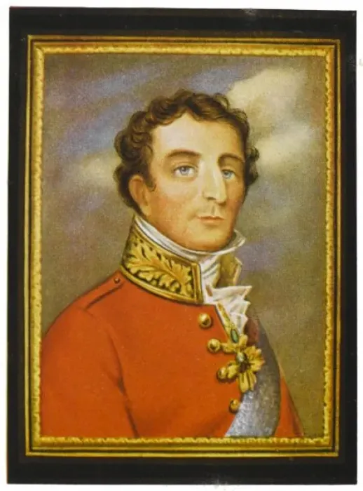 Framed Print : Wellington / Parent Miniat Framed Print : Wellington / Parent Miniat
