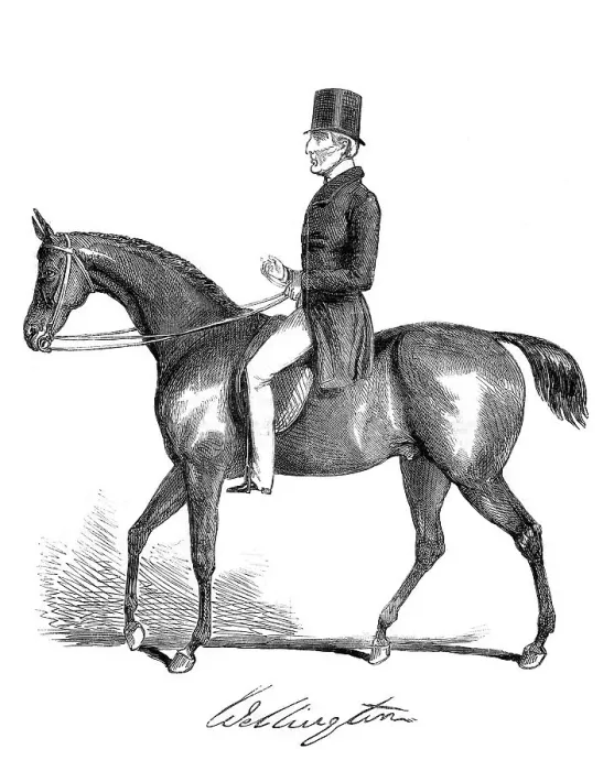 Framed Print : WELLINGTON RIDING Framed Print : WELLINGTON RIDING