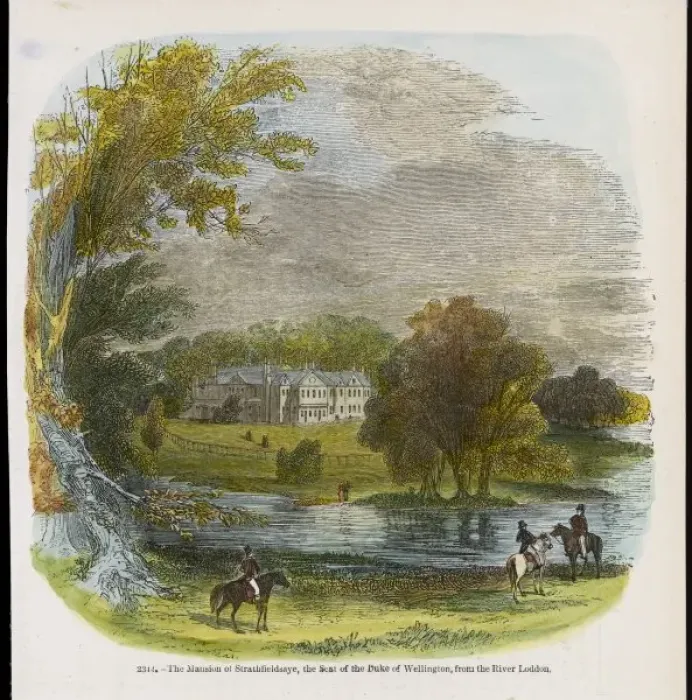 Framed Print : Wellington / Strathfieldsy Framed Print : Wellington / Strathfieldsy