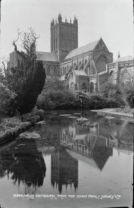 Framed Print : Wells Cathedral from the Swan Pool Framed Print : Wells Cathedral from the Swan Pool