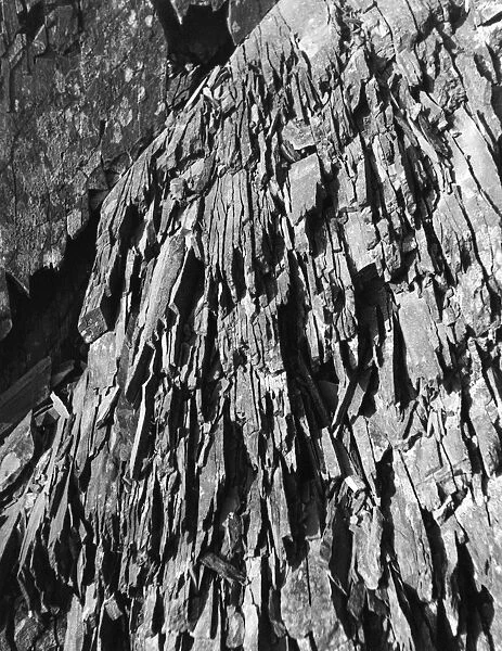 Welsh Rock Formation
