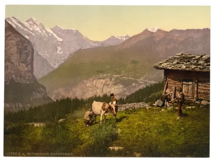Framed Print : Wengern Alp, cheese dairy, cowkeeper milking cow, Bernese Ob Framed Print : Wengern Alp, cheese dairy, cowkeeper milking cow, Bernese Ob