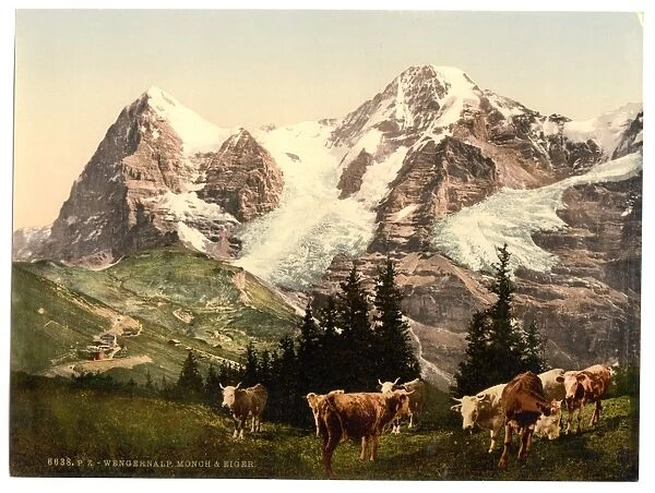 Wengern, Monch and Eiger, Bernese Oberland, Switzerland