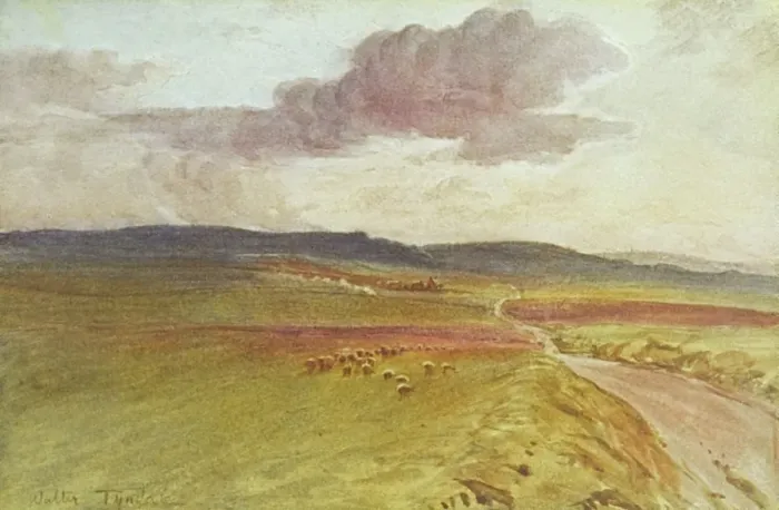 Framed Print : Wessex / Nr Maiden Castle Framed Print : Wessex / Nr Maiden Castle