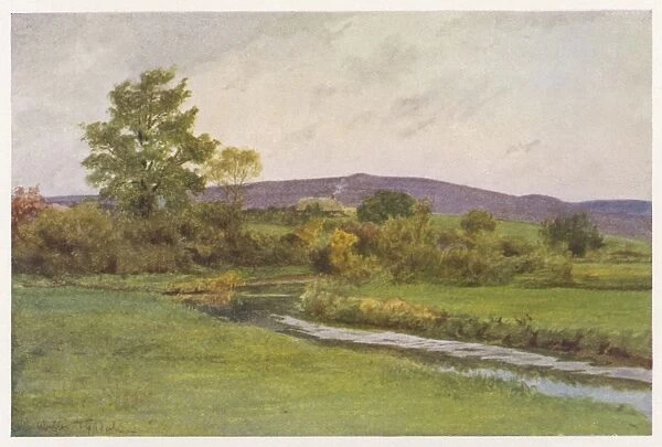 Wessex  /  Rainbarrow 1906