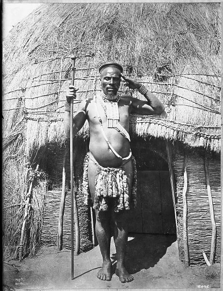 West African Sentry