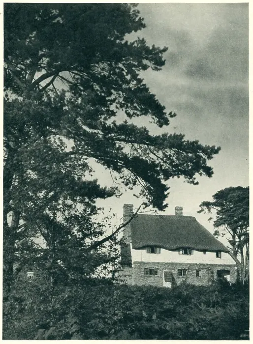 Framed Print : West Chiltington Cottage Framed Print : West Chiltington Cottage