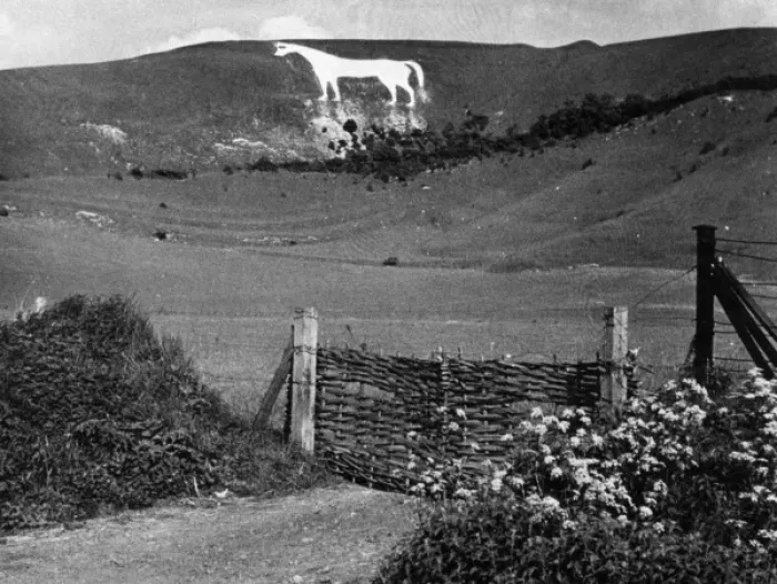 Framed Print : Westbury White Horse Framed Print : Westbury White Horse