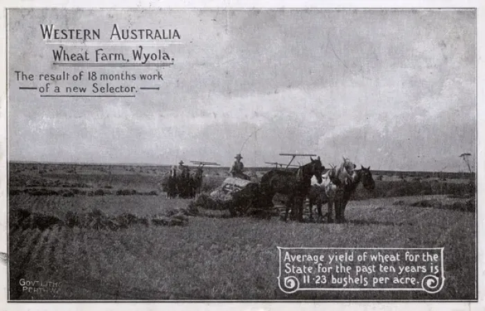 Framed Print : Western Australia Wheat Farm - Wyola - Harvesters at work Framed Print : Western Australia Wheat Farm - Wyola - Harvesters at work