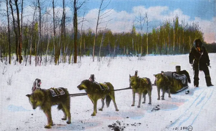 Framed Print : Western Canada - Indian Husky Dog Team Framed Print : Western Canada - Indian Husky Dog Team