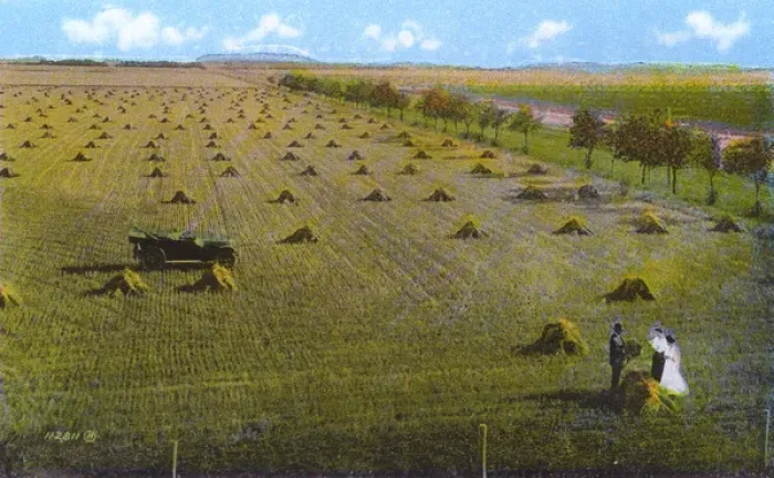 Framed Print : Western Canada - Wheat Field Framed Print : Western Canada - Wheat Field