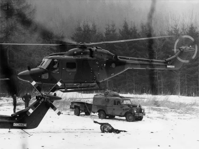 Framed Print : Westland Lynx Framed Print : Westland Lynx