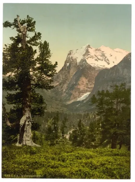 Framed Print : Wetterhorn, general view, Bernese Oberland, Switzerland Framed Print : Wetterhorn, general view, Bernese Oberland, Switzerland