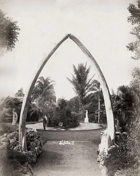 Whale bone arch, Botanical Gardens, Brisbane, Australia