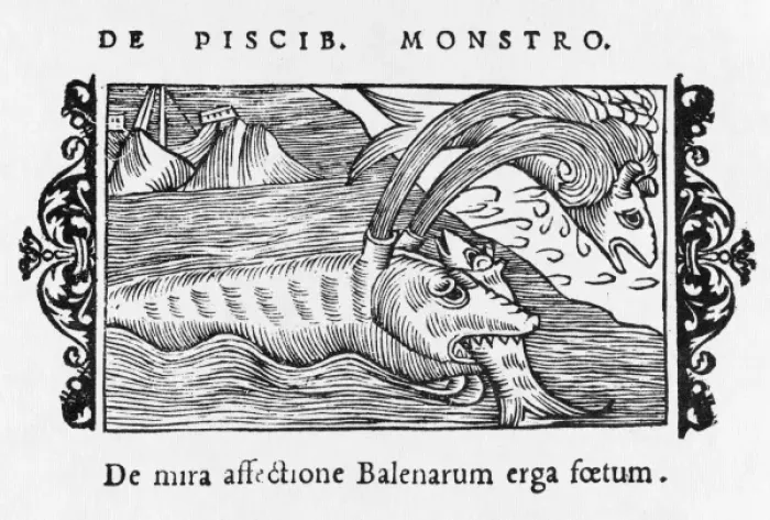 Framed Print : Whale Eating Fish / 1555 Framed Print : Whale Eating Fish / 1555