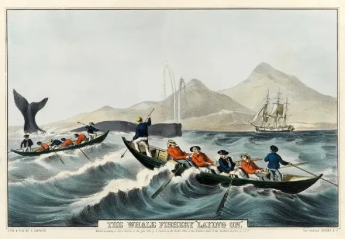 Framed Print : The Whale Fishery Laying On Framed Print : The Whale Fishery Laying On