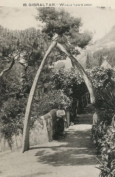 Whales Jaw Arch, Gibraltar