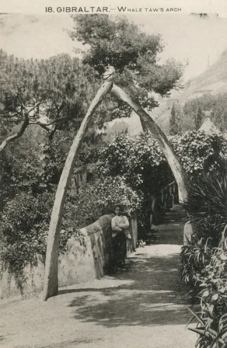 Framed Print : Whales Jaw Arch, Gibraltar Framed Print : Whales Jaw Arch, Gibraltar