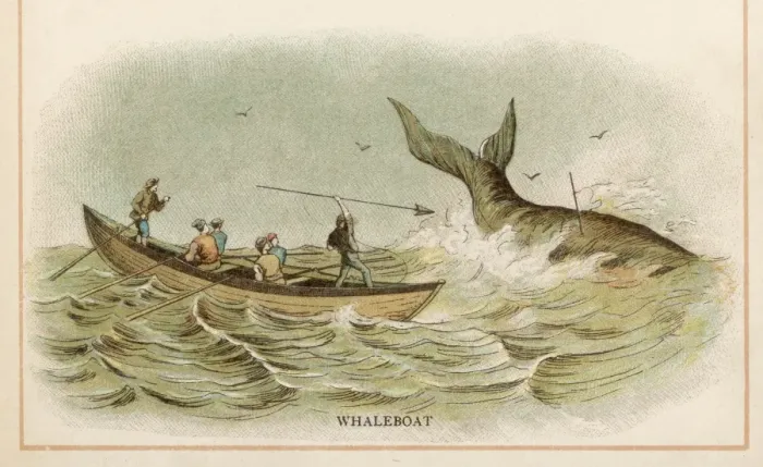 Framed Print : Whaling in 1880 Framed Print : Whaling in 1880
