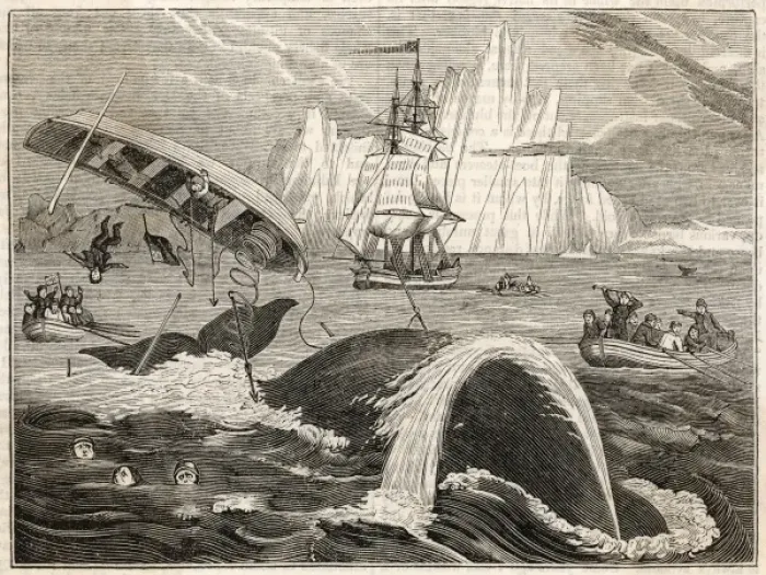 Framed Print : Whaling / Crew in Danger Framed Print : Whaling / Crew in Danger
