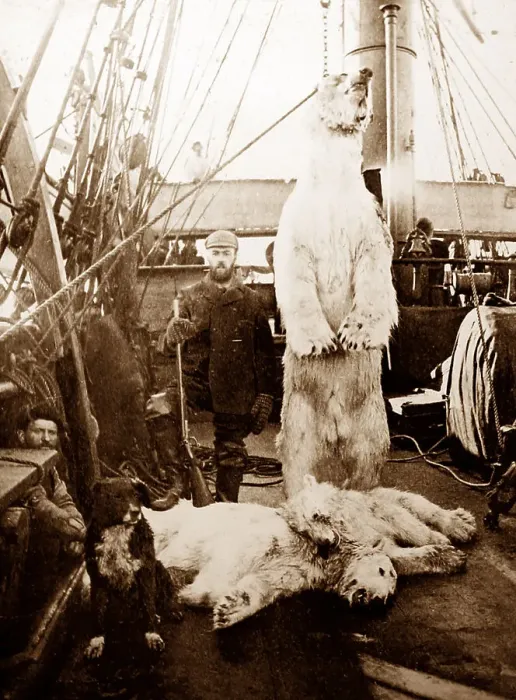 Framed Print : Whaling ship in the Arctic, polar bear and cubs Framed Print : Whaling ship in the Arctic, polar bear and cubs