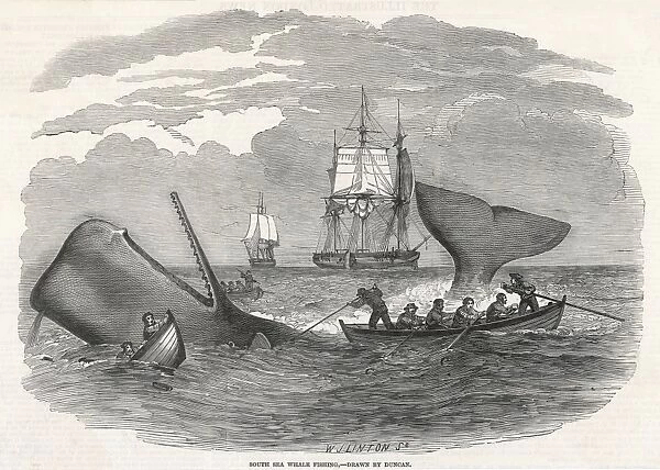 Whaling  /  South Seas 1847