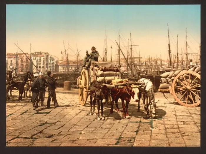Framed Print : The wharf, Naples, Italy Framed Print : The wharf, Naples, Italy