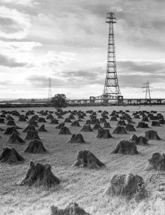 Framed Print : Wheat Field / Pylons Framed Print : Wheat Field / Pylons