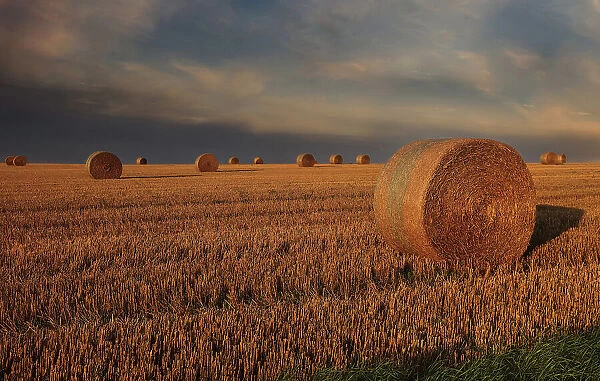 Wheat fields near Essoyes, Aube, France