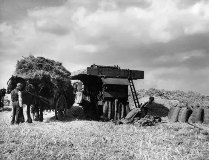Framed Print : Wheat Harvest Framed Print : Wheat Harvest