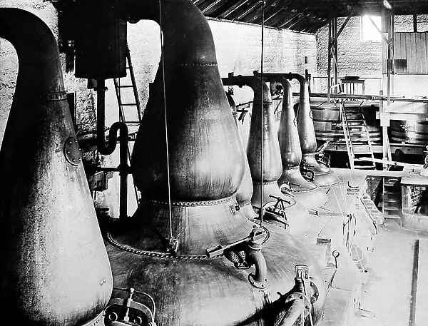A Whisky Distillery, early 1900s