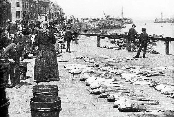 Whitby Harbour early 1900s