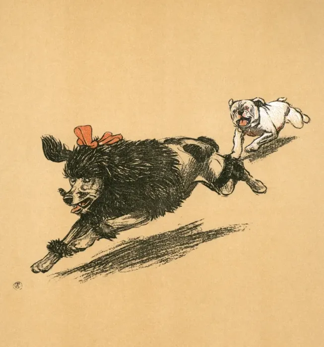 Framed Print : White bulldog puppy chases black French poodle Framed Print : White bulldog puppy chases black French poodle