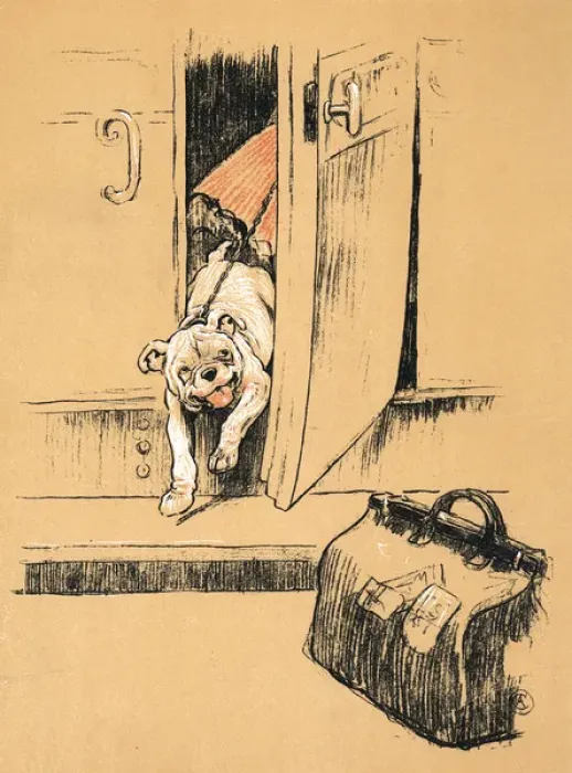 Framed Print : White bulldog puppy getting out of railway carriage Framed Print : White bulldog puppy getting out of railway carriage