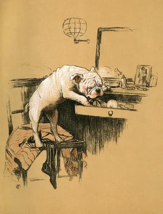 Framed Print : White bulldog puppy looking for chocolates Framed Print : White bulldog puppy looking for chocolates