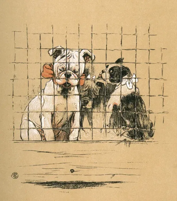 Framed Print : White bulldog puppy with his two sisters in a cage Framed Print : White bulldog puppy with his two sisters in a cage